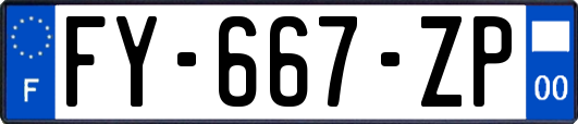 FY-667-ZP