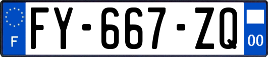 FY-667-ZQ