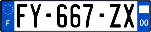 FY-667-ZX