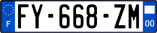FY-668-ZM