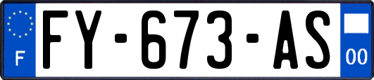 FY-673-AS