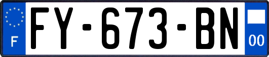 FY-673-BN