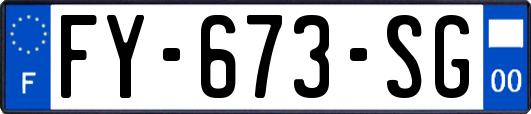 FY-673-SG