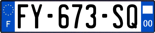 FY-673-SQ