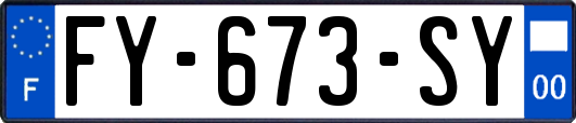 FY-673-SY