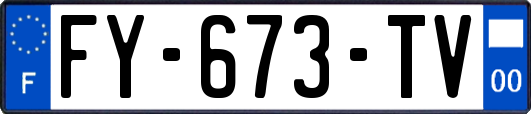 FY-673-TV