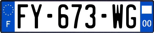 FY-673-WG