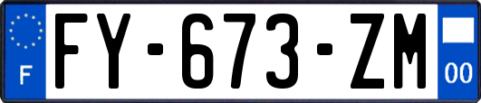 FY-673-ZM
