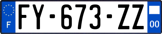 FY-673-ZZ