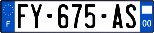 FY-675-AS