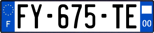 FY-675-TE
