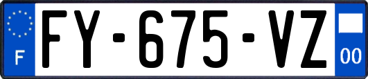 FY-675-VZ