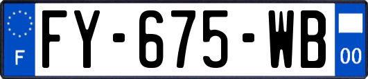 FY-675-WB