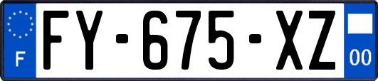 FY-675-XZ