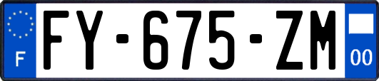 FY-675-ZM