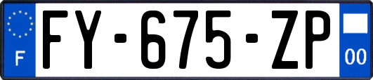 FY-675-ZP