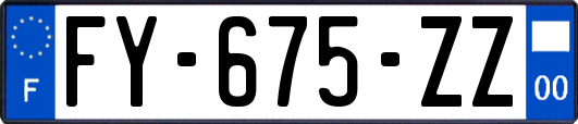 FY-675-ZZ