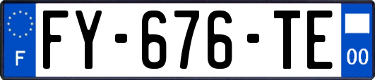 FY-676-TE