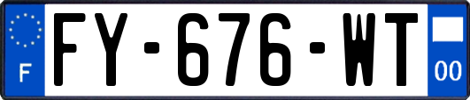 FY-676-WT