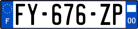 FY-676-ZP