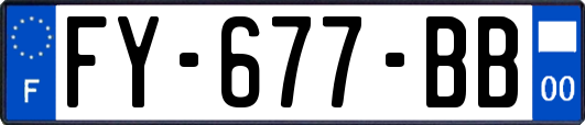FY-677-BB