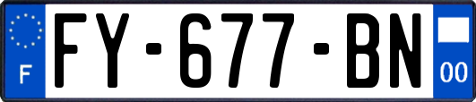 FY-677-BN