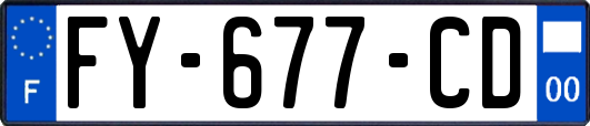 FY-677-CD