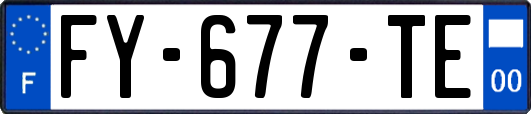 FY-677-TE