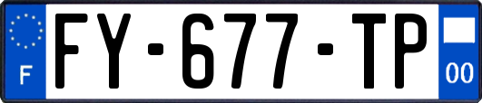 FY-677-TP