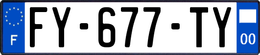 FY-677-TY