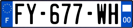 FY-677-WH