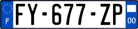 FY-677-ZP