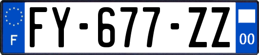 FY-677-ZZ