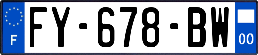 FY-678-BW