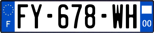 FY-678-WH