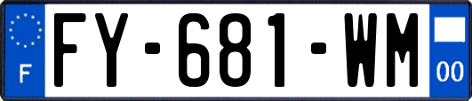 FY-681-WM