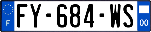 FY-684-WS