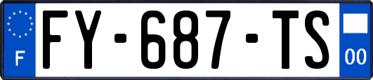 FY-687-TS