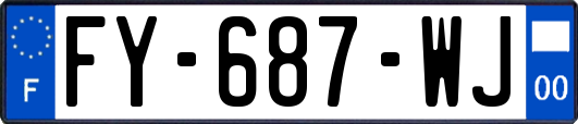 FY-687-WJ