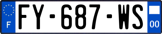 FY-687-WS