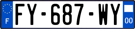 FY-687-WY
