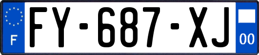 FY-687-XJ