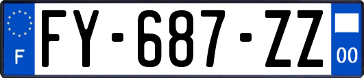 FY-687-ZZ