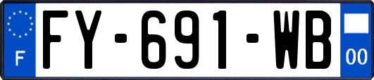 FY-691-WB