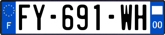 FY-691-WH