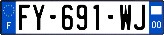 FY-691-WJ