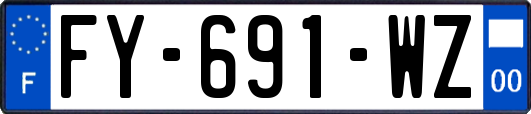 FY-691-WZ