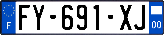 FY-691-XJ