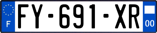 FY-691-XR