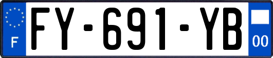 FY-691-YB